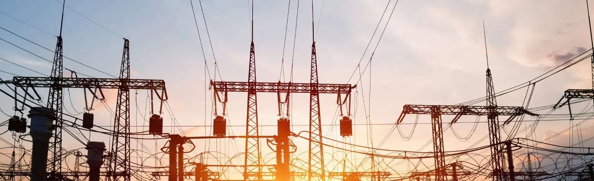 TREW Case Study_SAM Banner v5