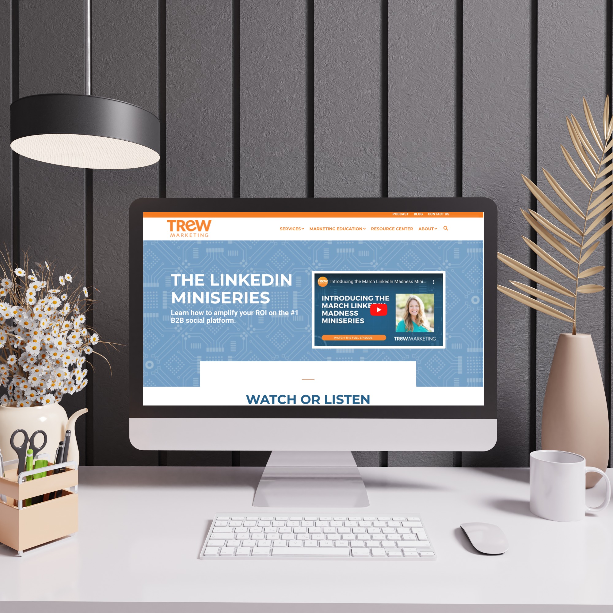 LinkedIn Miniseries mockup