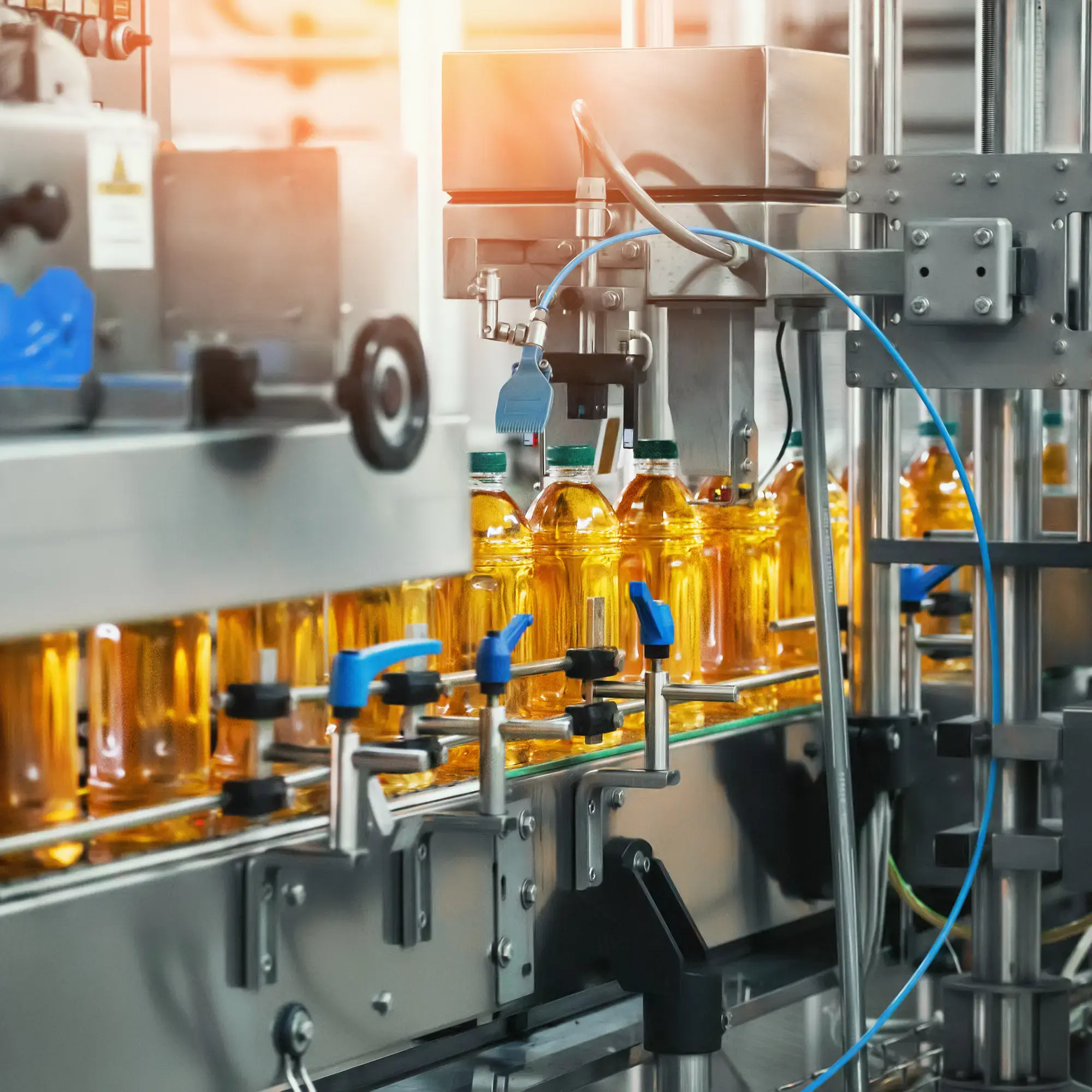 TREW Case Study_Polytron #1